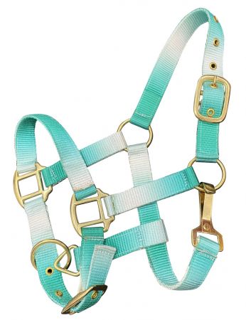 Showman Premium nylon Pony sized ombre halter with nickel plated hardware #5
